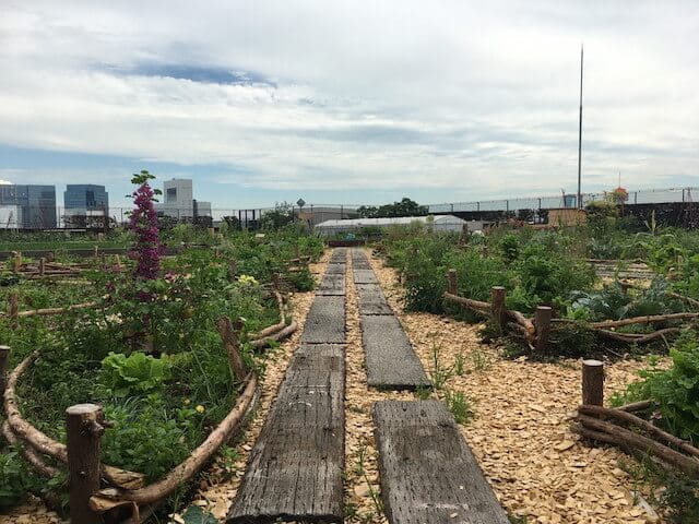 イメージ：屋上農園で過ごす贅沢なひととき